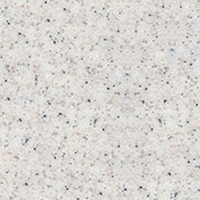 Artesian Sierra Shell